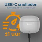 Denver TWE48GR In-ear Bluetooth Oordopjes