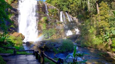 thailand_chiang-mai_doi-inthanon-national-park_wachirathan-waterval_wandelpad_jungle_shutterstock_1029797365