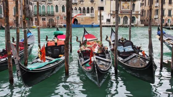 italie_veneto_venetie_canal-grande_gondel_haven_gekleurd-huis_shutterstock