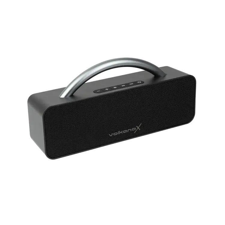 Draagbare 60W Bluetooth Speaker met FM/AUX