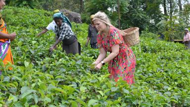 Fox_Sri-Lanka_Kandy_theeplantage_thee-plukken_d_Susanne 01