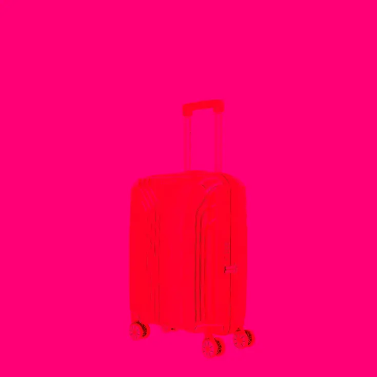Elvaa 4 Wiel Trolley S  | 41 L