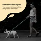 Reflecterende Hondenriem 3m