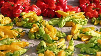 suriname_paramaribo_eten_pepers_markt_f