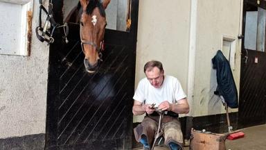 Ierland_Kildare_Irish_National_Stud_Paarden1