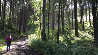 Duitsland_Harz_wandeling-tussen-knigshtte-rubeland_a