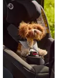 Buddy - Knuffel