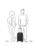 Belmont Plus koffer / 39 L