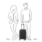 Delsey Belmont Plus koffer / 39 L