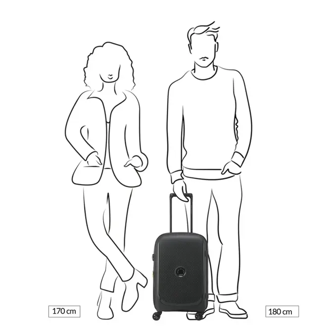 Delsey Belmont Plus koffer / 39 L
