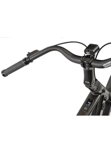 Stealth L city ebike automaat Sum