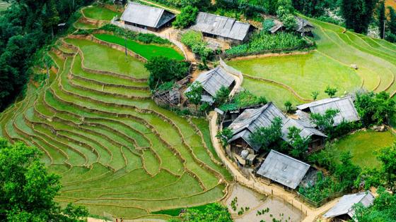 vietnam_sapa_bergstammen_hmong dorp_rijstveld_b