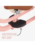 2-in-1 Loopfiets Driewieler met Duwstang