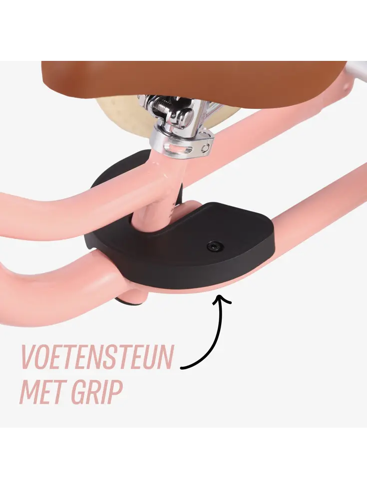 2-in-1 Loopfiets Driewieler met Duwstang