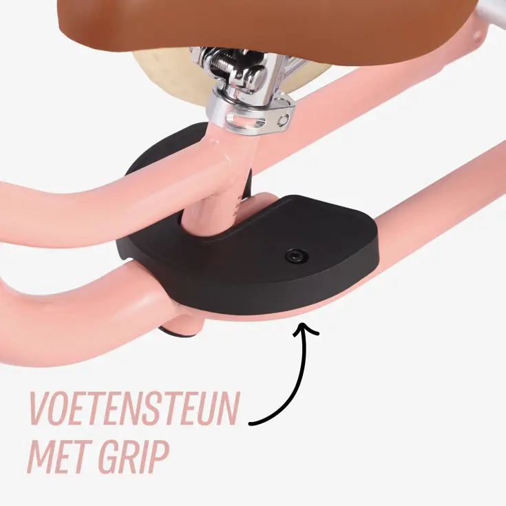 2-in-1 Loopfiets Driewieler met Duwstang