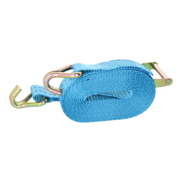 Carpoint Spanband met Ratel en Haken 5 Meter