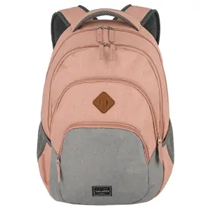 Basics 22  - Rugzak -  15.6 Inch