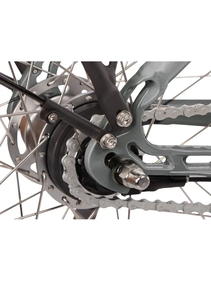 Comfort+ 5.0 dames ebike