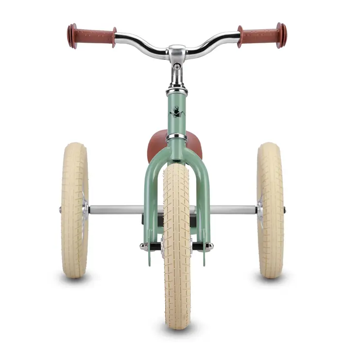 2-in-1 Loopfiets Driewieler met Duwstang
