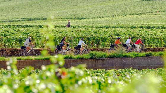 sfeer_frankrijk_bourgogne_veloroute_tussen-dijon-en-beaune_wijngaard_fietsers_copyright_alain_doire_bourgogne-franche-comte-tourisme