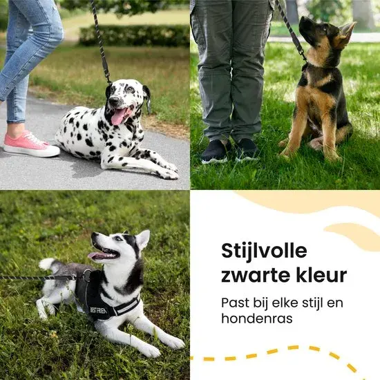 Reflecterende Hondenriem 2m
