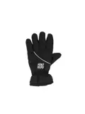 Heren - Ski Handschoenen