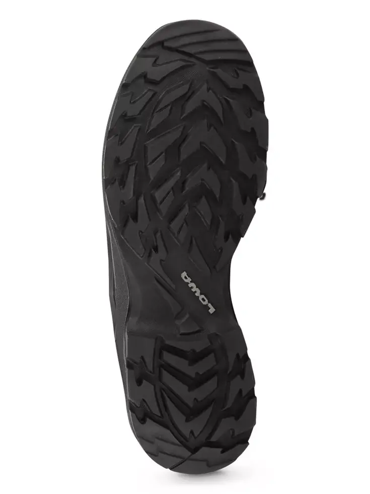 LOWA Terrios GTX - Lage wandelschoenen heren