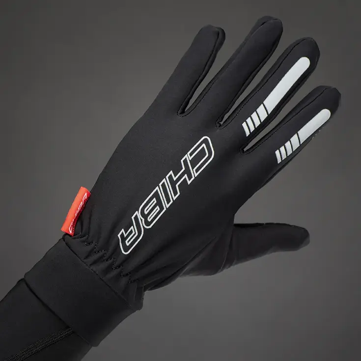 Thermofleece Handschoen