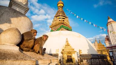 nepal_kathmandu_apen-bij-swayambhunath-stupa_monkey-tempel_b.jpg