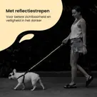 Reflecterende Hondenriem 3m