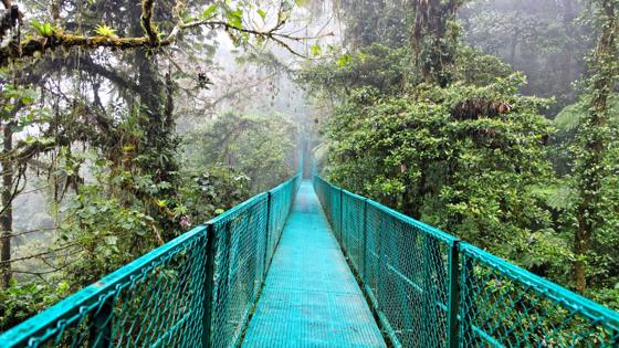 costa-rica_monteverde_hangbrug_boomtopwandelen_nevelwoud_b.jpg