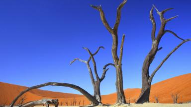 namibie_sossusvlei_deadvlei_2_b.jpg