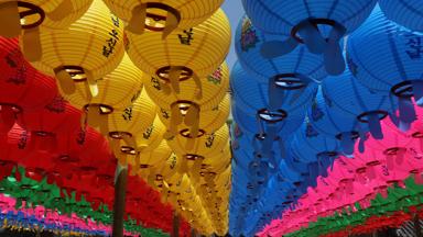 Fox Reizen_Zuid-Korea_lampion_Lotuslantaarnfestival