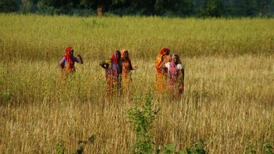 india_khajuraho_vrouwen_platteland_w