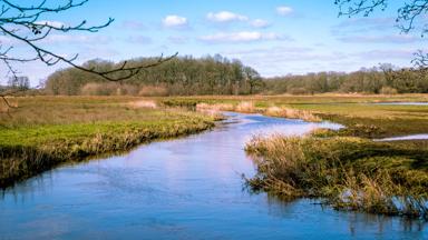 nederland_drenthe_drentse-aa_rivier_GettyImages-1214640746