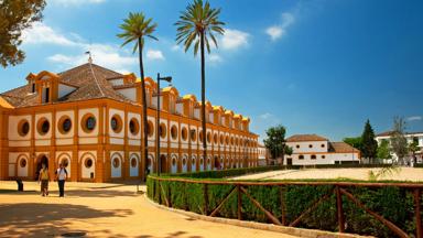 spanje_andalusie_jerez-de-la-frontera-spaanse-rijschool_paard_shutterstock