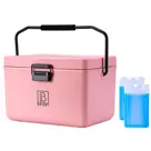 Brisby - Koelbox - 12L - Draaghendel