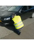 Carpoint Veiligheidsvest Oxford Geel XL