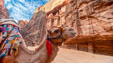 jordanie_petra_vakantie-petra_kameel_al-khazneh-tombe_ruine_shutterstock