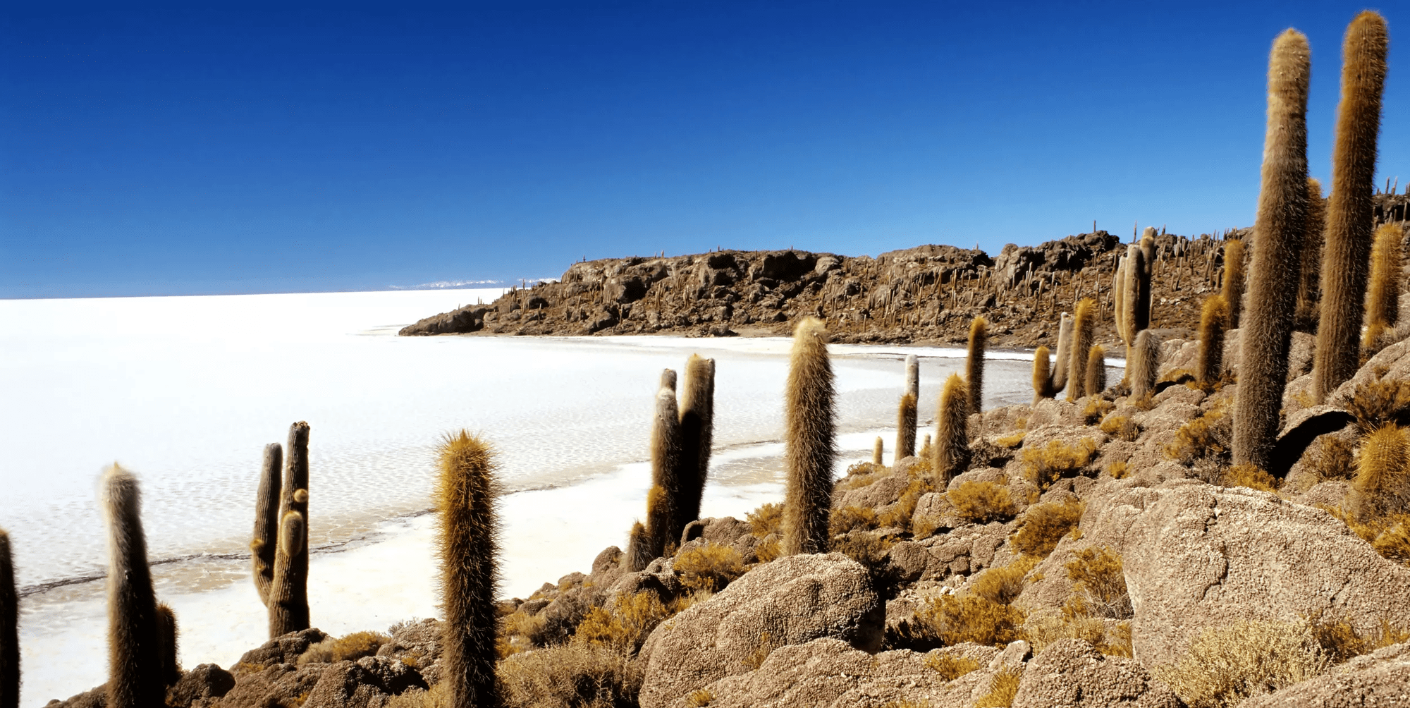 24-daagse privérondreis Peru & Bolivia