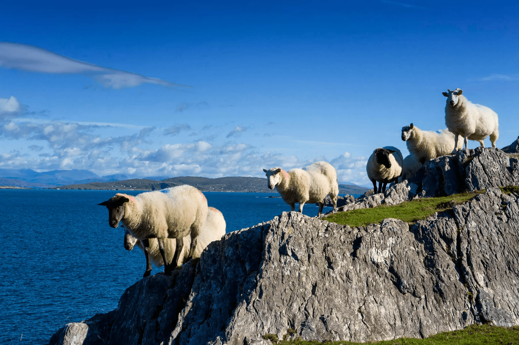 25-daagse rondreis Ierland & Noord-Ierland in B&B&apos;s - Grand Tour of Ireland - P&O Ferries afbeelding