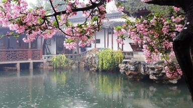 china_suzhou_tuin_bloesem_vijver_f