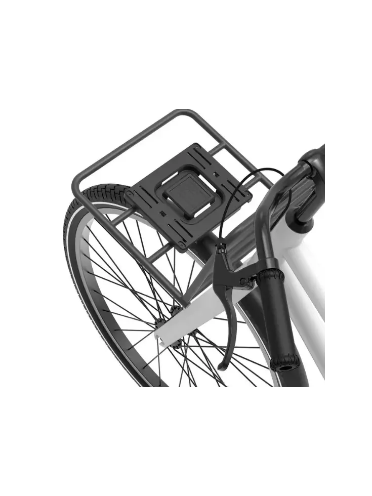 Fietsmand Basky Totally Toekan