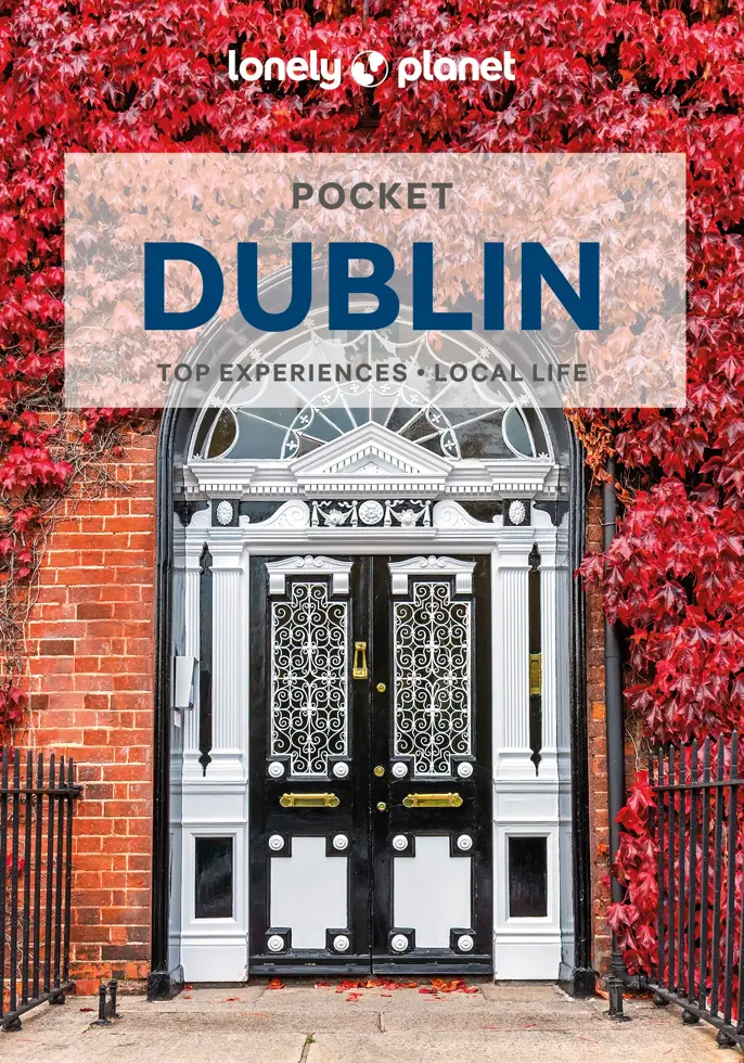 Reisgids Pocket Dublin 7
