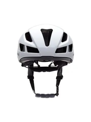 Transsonic Helm MIPS