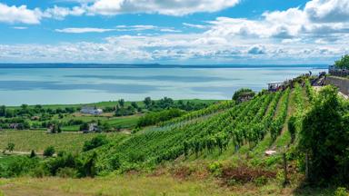 hongarije_badacsony-heuvel_balatonmeer_wijngaard_getty