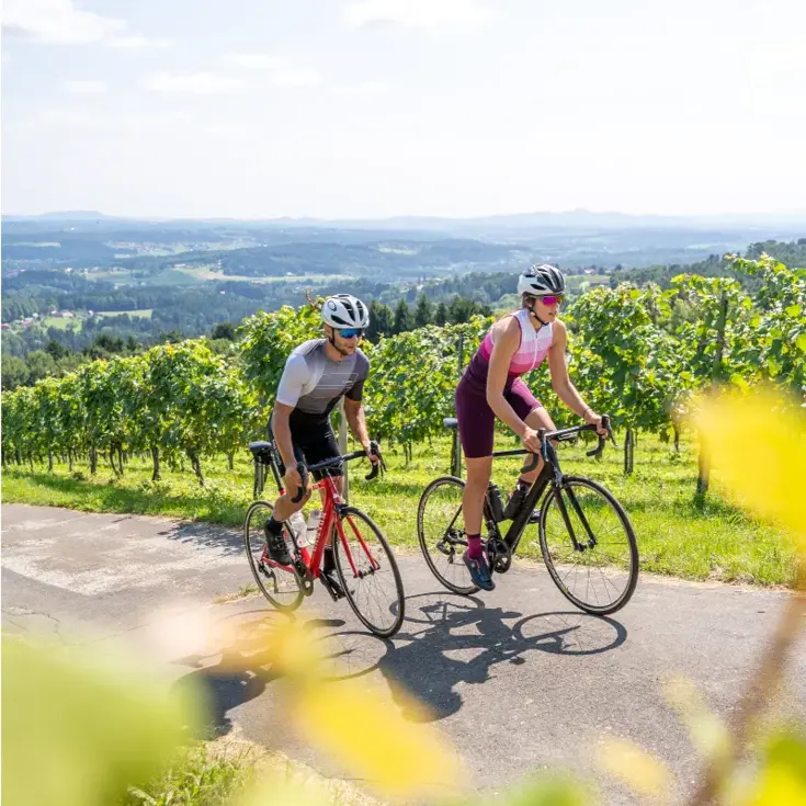 Loeffler fietsshirt Vent heren