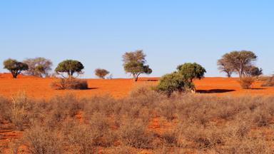 namibie_kalahari_woestijn_halfwoestijn_f