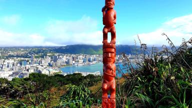 nieuw-zeeland_noordereiland_wellington_maori_totempaal_uitzicht_stad_foto-reisleider-albert-kooiker