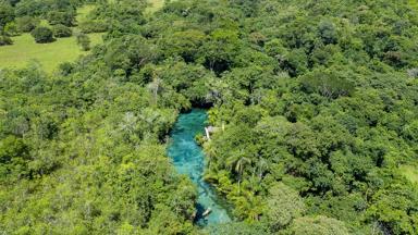 brazilie_cerrado_bonito_rio-de-prata_rivier_luchtfoto_jungle_a